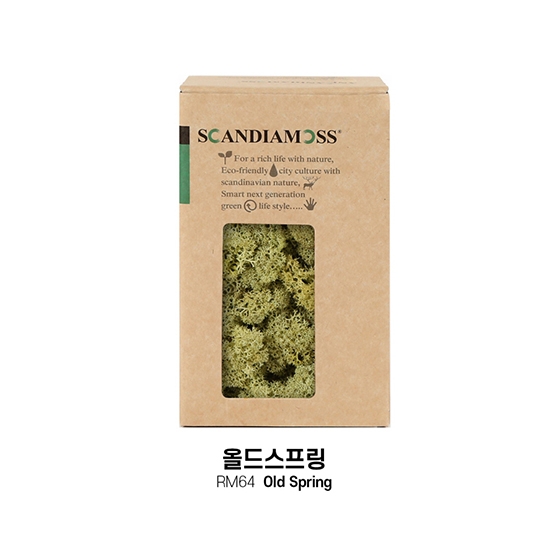 [스칸디아모스 DIY이끼 150g]RM150 컬러-64_올드스프링공기정화 천연이끼 스칸디아모스 플랜테리어 화분 액자 인테리어소품 만들기