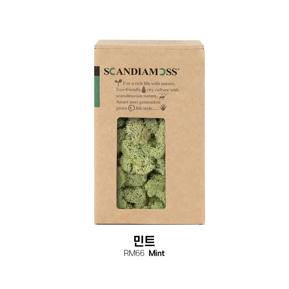 [스칸디아모스 DIY이끼 150g]RM150 컬러-66_민트공기정화 천연이끼 스칸디아모스 플랜테리어 화분 액자 인테리어소품 만들기