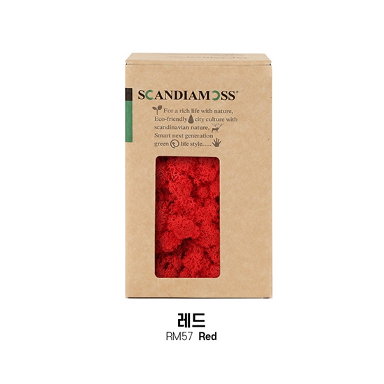 [스칸디아모스 DIY이끼 150g]RM150 컬러-57_레드북유럽 천연이끼 스칸디아모스 공기정화식물 DIY인테리어 가드닝 이끼 공예장식 만들기