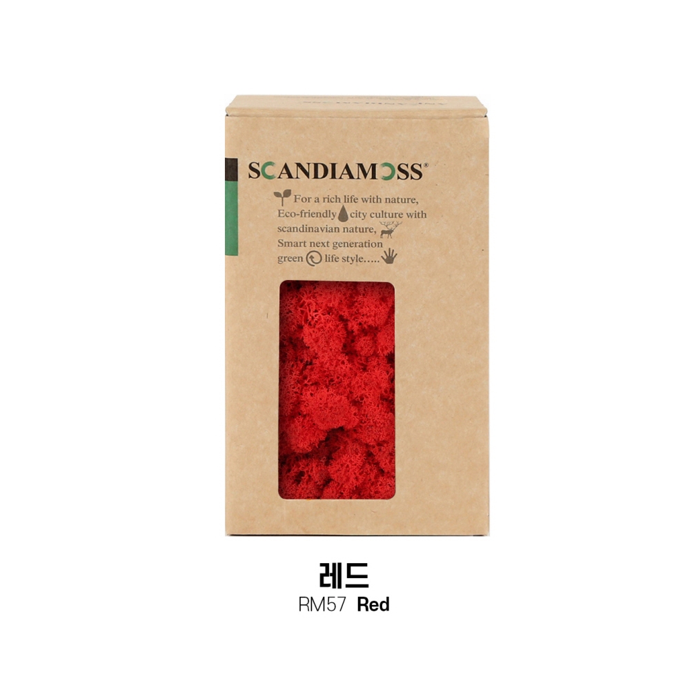 [스칸디아모스 DIY이끼 150g]RM150 컬러-57_레드북유럽 천연이끼 스칸디아모스 공기정화식물 DIY인테리어 가드닝 이끼 공예장식 만들기