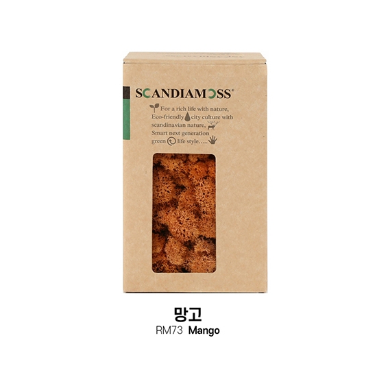 [스칸디아모스 DIY이끼 150g]RM150 컬러-73_망고천연이끼 스칸디아모스 공기정화식물 북유럽 디자인 인테리어 공예 장식 DIY 재료