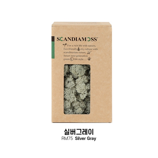 [스칸디아모스 DIY이끼 150g]RM150 컬러-75_실버그레이천연이끼 스칸디아모스 공기정화식물 북유럽 디자인 인테리어 공예 장식 DIY 재료