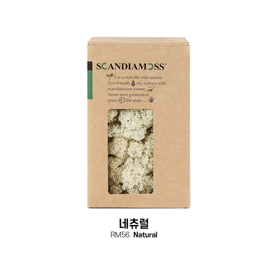 [스칸디아모스 DIY이끼 150g]RM150 컬러-56_네츄럴공기정화식물 천연이끼 스칸디아모스 플랜테리어 화분 액자 인테리어소품 만들기