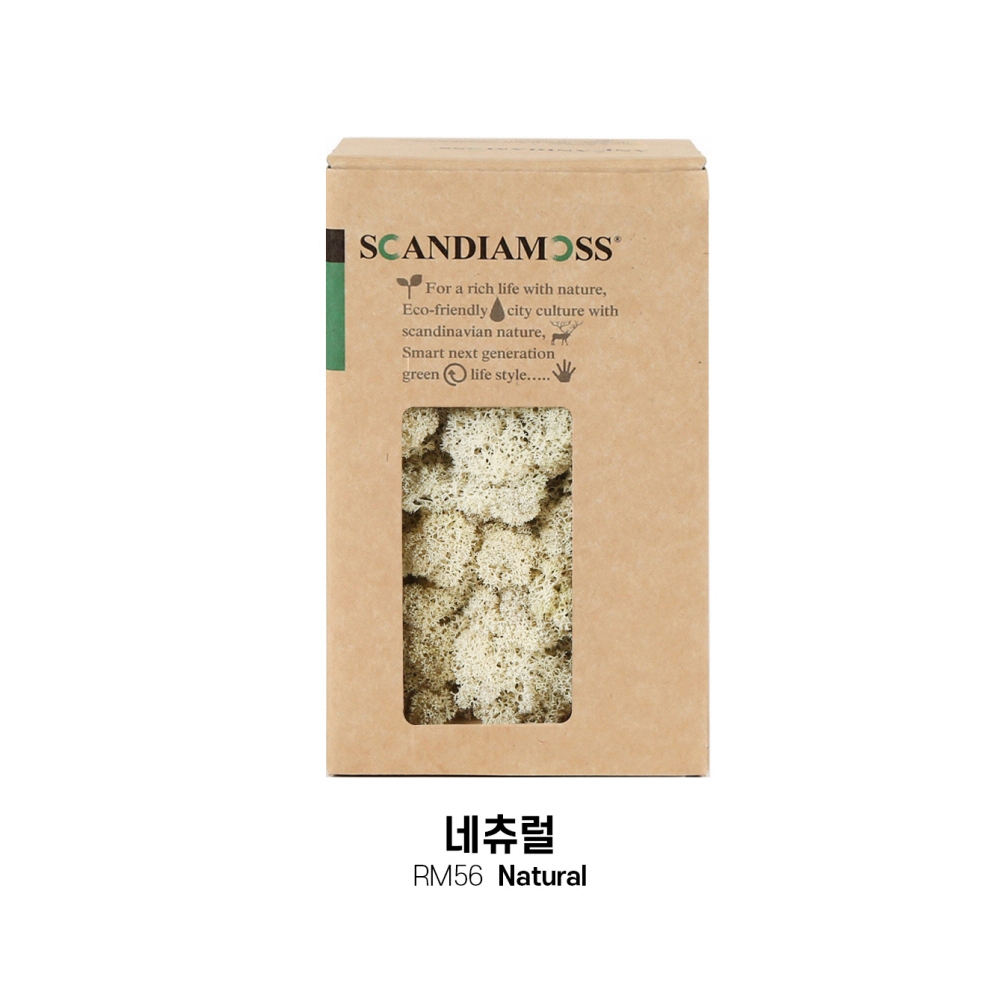 [스칸디아모스 DIY이끼 150g]RM150 컬러-56_네츄럴공기정화식물 천연이끼 스칸디아모스 플랜테리어 화분 액자 인테리어소품 만들기