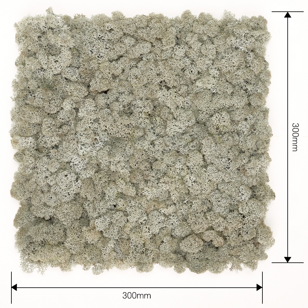 [스칸디아모스 이끼타일-AL]TYPE 알루미늄-300각 컬러-75_실버그레이북유럽 천연이끼 모스 공기정화식물 스칸디아모스 실내 인테리어 벽 마감재 디자인벽 목재월아트 월보드