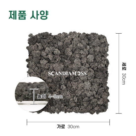 [스칸디아모스 이끼타일-AL]TYPE 알루미늄-300각 컬러-76_안트라자이트북유럽 천연이끼 모스 공기정화식물 스칸디아모스 좁은방 인테리어 벽 자재 아파트 아트월 침실 아트월 마감보드