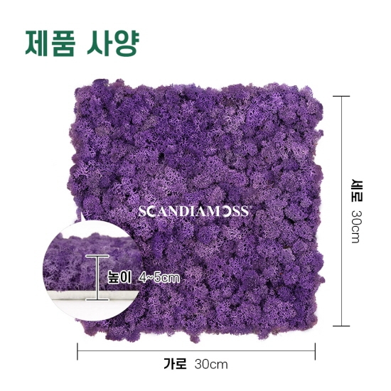 [스칸디아모스 이끼타일-AL]TYPE 알루미늄-300각 컬러-67_퍼플북유럽 천연이끼 공기정화식물 스칸디아모스 기둥인테리어 벽자재 디자인아트월 타일 어쿠스틱보드