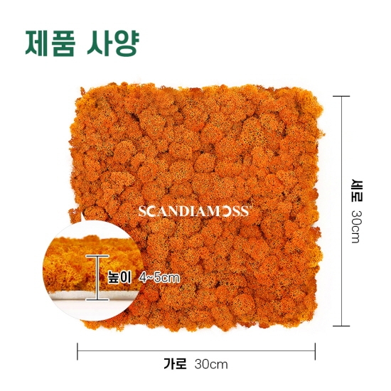 [스칸디아모스 이끼타일-AL]TYPE 알루미늄-300각 컬러-51_어텀북유럽 천연이끼 공기정화식물 스칸디아모스 주방 침실 아트월 인테리어 벽 자재 흠음재 패널