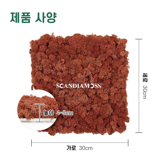 [스칸디아모스 이끼타일-AL]TYPE 알루미늄-300각 컬러-73_망고북유럽 천연이끼 모스이끼 공기정화식물 스칸디아모스 거실벽 인테리어 자재 아파트 아파트 아트월 침실 아트월 마감재 흡음패널