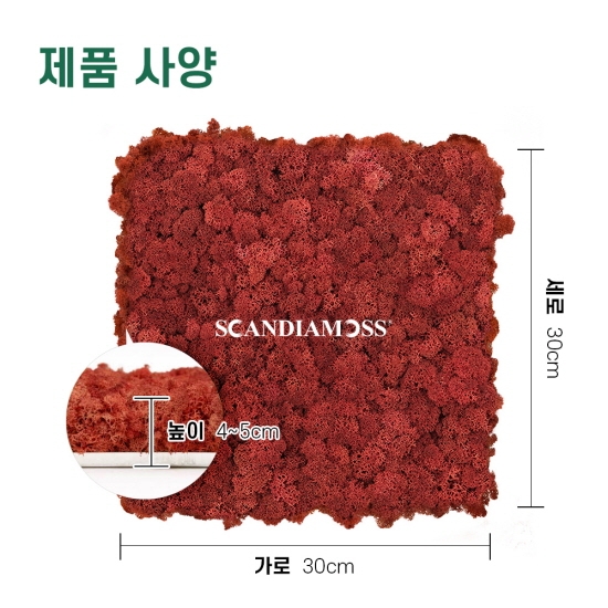 [스칸디아모스 이끼타일-AL]TYPE 알루미늄-300각 컬러-81_시에나공기정화식물 천연이끼 스칸디아모스 조경 인테리어 내벽 마감재 디자인월아트 사무실 아트월 패널