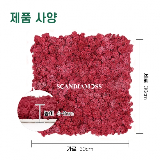 [스칸디아모스 이끼타일-AL]TYPE 알루미늄-300각 컬러-72_크림슨공기정화식물 천연이끼 스칸디아모스사무실 인테리어 내벽 마감재 디자인월아트 사무실 아트월 디자인패널