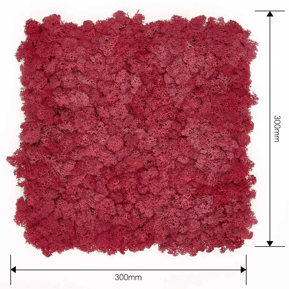 [스칸디아모스 이끼타일-AL]TYPE 알루미늄-300각 컬러-72_크림슨공기정화식물 천연이끼 스칸디아모스사무실 인테리어 내벽 마감재 디자인월아트 사무실 아트월 디자인패널