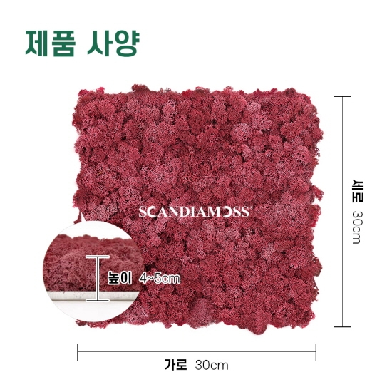 [스칸디아모스 이끼타일-AL]TYPE 알루미늄-300각 컬러-63_버건디공기정화식물 천연이끼 스칸디아모스 임원실 인테리어 내벽 마감재 디자인월아트 사무실 아트월 데코패널