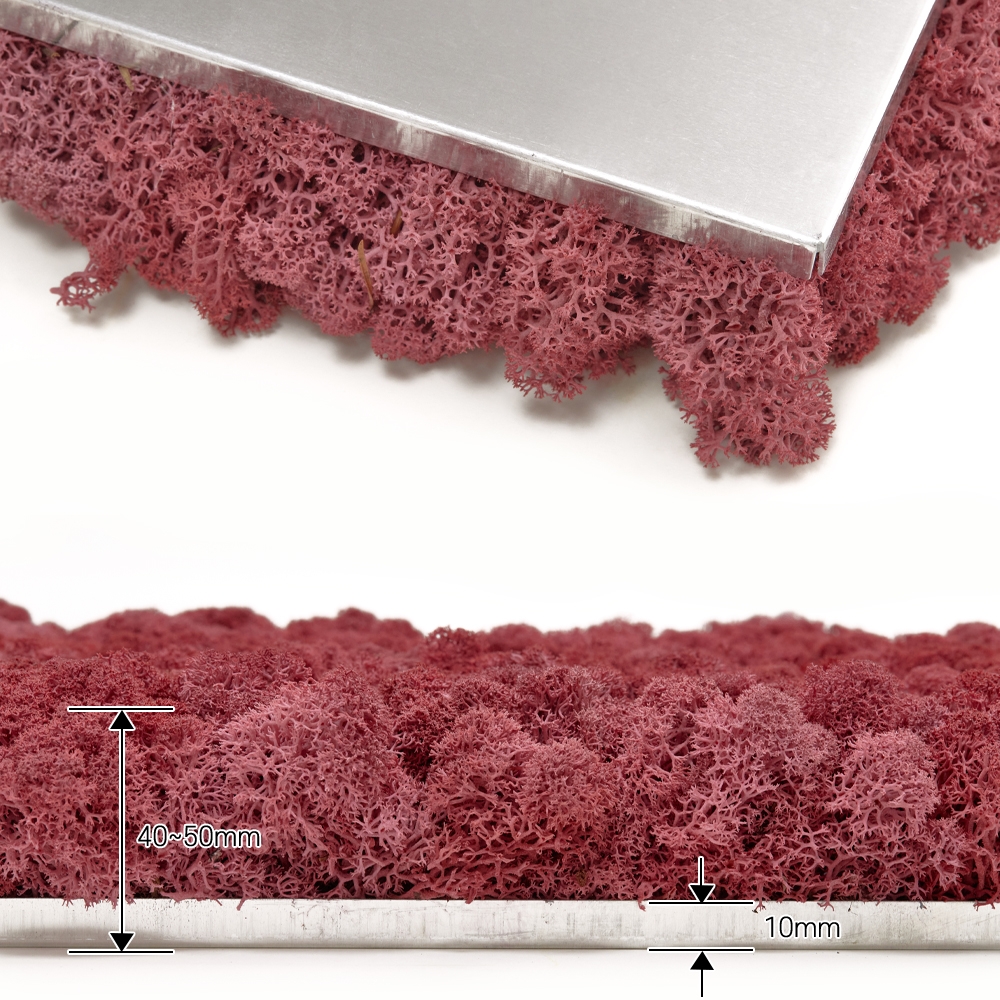 [스칸디아모스 이끼타일-AL]TYPE 알루미늄-300각 컬러-63_버건디공기정화식물 천연이끼 스칸디아모스 임원실 인테리어 내벽 마감재 디자인월아트 사무실 아트월 데코패널