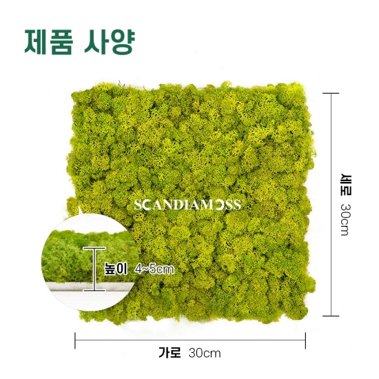 [스칸디아모스 이끼타일-AL]TYPE 알루미늄-300각 컬러-55_스프링그린북유럽 천연이끼 공기정화식물 스칸디아모스 아트월 인테리어 마감재 바이오필릭디자인 데코월 매트