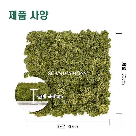 [스칸디아모스 이끼타일-AL]TYPE 알루미늄-300각 컬러-70_미디엄그린북유럽 천연이끼 공기정화식물 스칸디아모스 벽면 인테리어 마감재 바이오필릭디자인 데코월 판넬