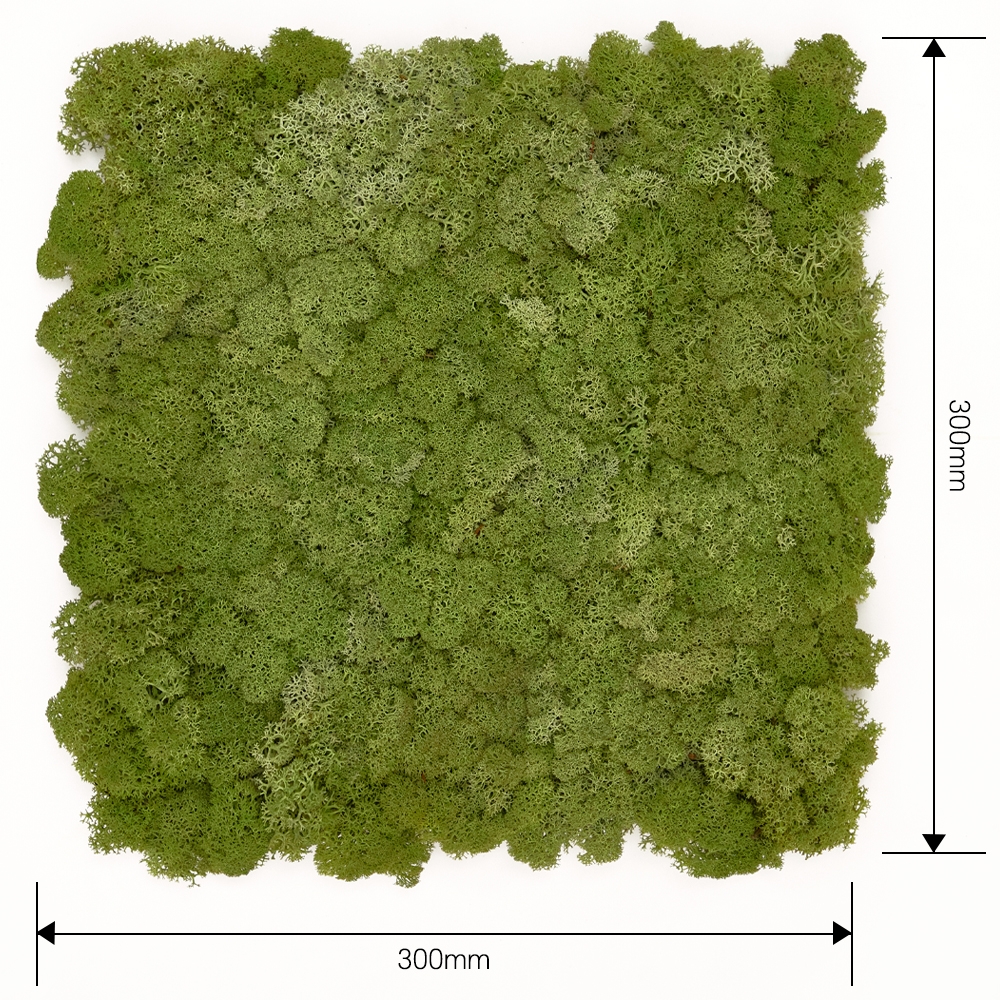[스칸디아모스 이끼타일-AL]TYPE 알루미늄-300각 컬러-70_미디엄그린북유럽 천연이끼 공기정화식물 스칸디아모스 벽면 인테리어 마감재 바이오필릭디자인 데코월 판넬