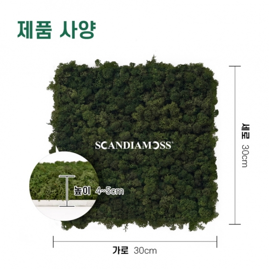 [스칸디아모스 이끼타일-AL]TYPE 알루미늄-300각 컬러-54_모스그린북유럽 천연이끼 공기정화식물 스칸디아모스 실내벽 인테리어 마감재 바이오필릭디자인 데코월 타일