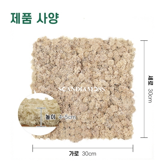 [스칸디아모스 이끼매트-CK]TYPE 코르크-300각 컬러-56_네츄럴 북유럽 천연이끼 공기정화식물 스칸디아모스 실내이끼 벽면녹화 인테리어식물 바이오필릭 모스디자인 그린월 자재 타일 패널