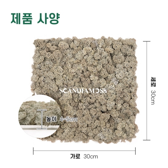 [스칸디아모스 이끼매트-CK]TYPE 코르크-300각 컬러-75_실버그레이북유럽 천연이끼 공기정화식물 이끼벽 벽면녹화식물 실내조경 수직정원 그린월 버티컬가드닝 스칸디아모스 패널