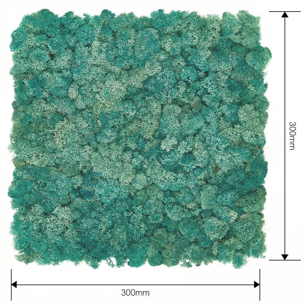 [스칸디아모스 이끼매트-CK]TYPE 코르크-300각 컬러-87_퍼시픽그린북유럽 천연이끼 모스 공기정화식물 스칸디아모스 이끼벽면녹화 실내조경식물 그린테리어 벽면정원 플랜트월 판넬 보드