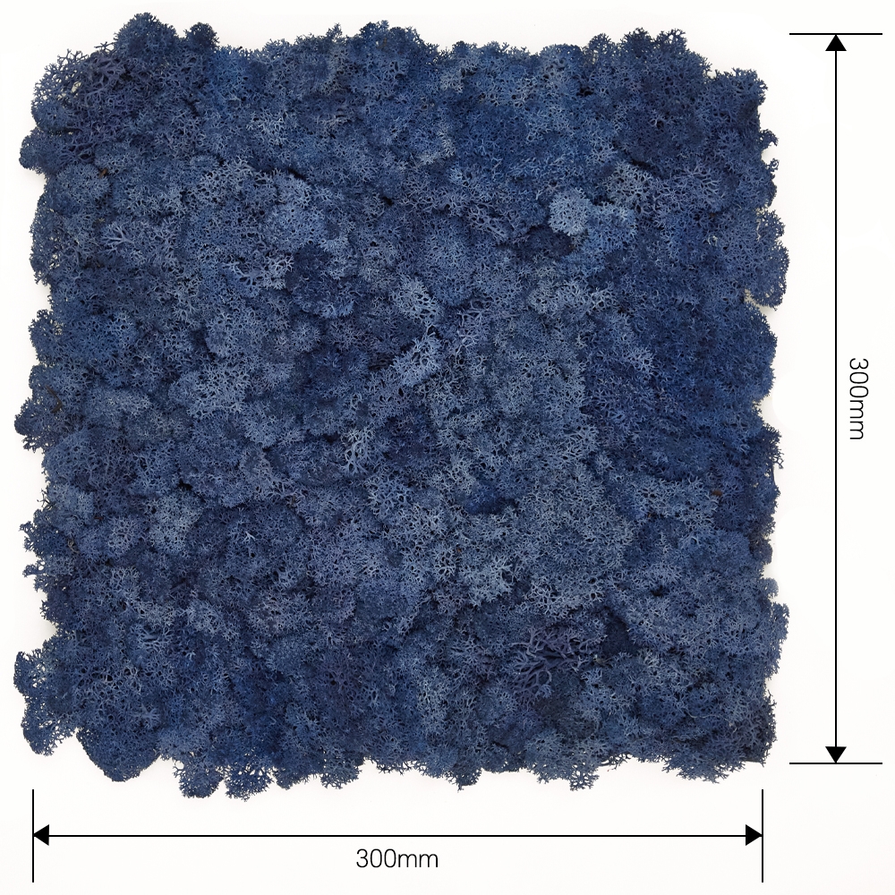 [스칸디아모스 이끼매트-CK]TYPE 코르크-300각 컬러-84_클래식블루 북유럽 천연이끼 모스이끼 공기정화식물 이끼타워 벽면녹화식물 수직정원 월플랜트 바이오필릭 그린월 스칸디아모스 패널