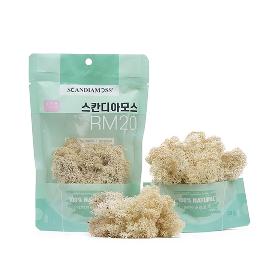 [스칸디아모스 DIY이끼 20g]RM20 컬러-55_네츄럴공기정화식물 스칸디아모스 천연이끼 학교수업 방과후수업 체험학습 액자 화분 만들기