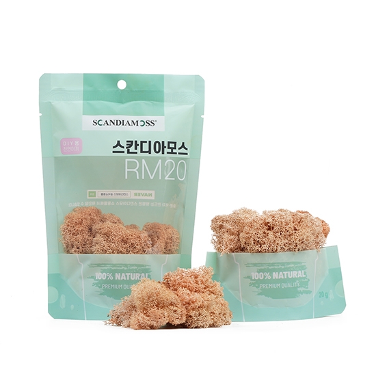 [스칸디아모스 DIY이끼 20g]RM20 컬러-68_피치공기정화식물 스칸디아모스 천연이끼 학교수업 방과후수업 체험학습 액자 화분 만들기