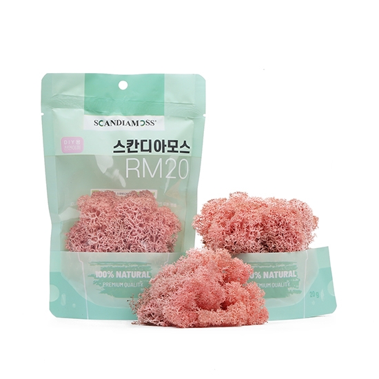 [스칸디아모스 DIY이끼 20g]RM20 컬러-62_핑크공기정화식물 스칸디아모스 천연이끼 학교수업 방과후수업 체험학습 액자 화분 만들기