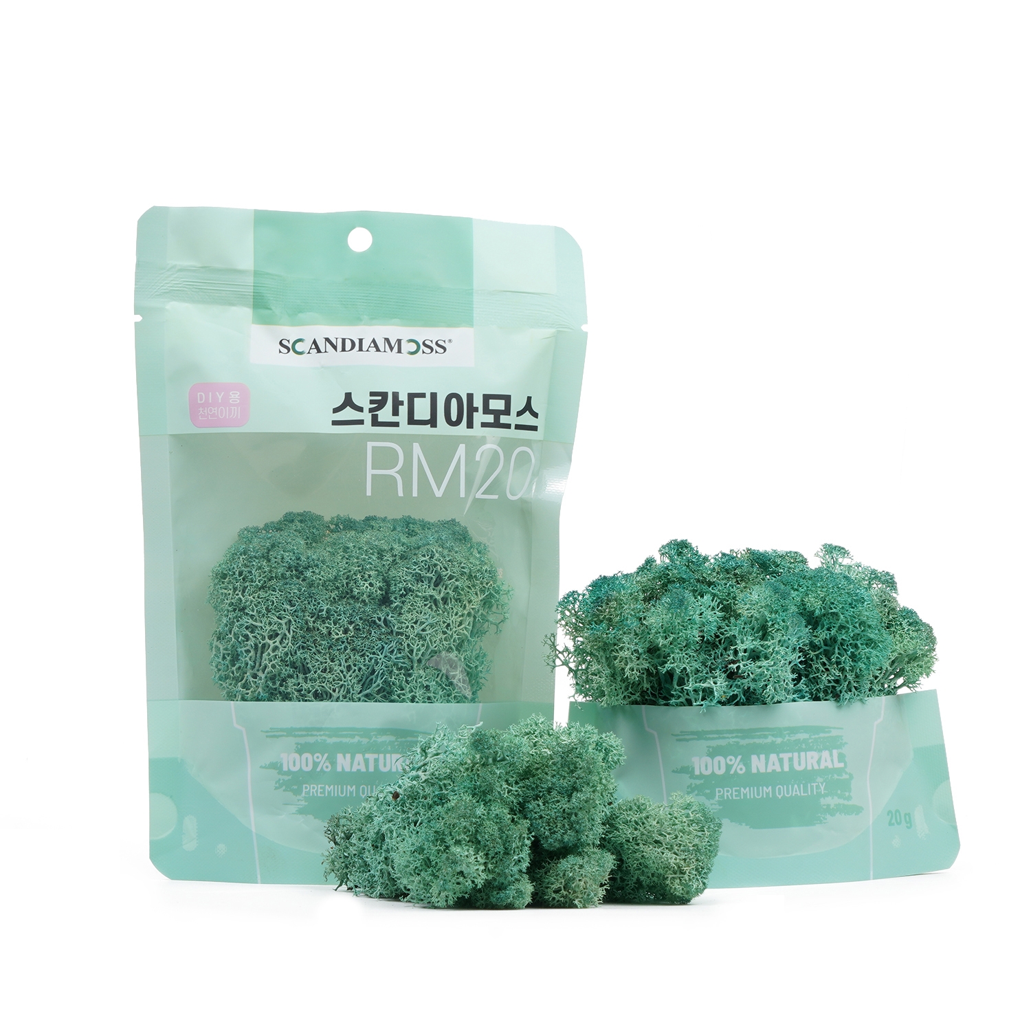 [스칸디아모스 DIY이끼 20g]RM20 컬러-87_퍼시픽그린북유럽 천연이끼 공기정화식물 학교 방과후수업 활동 체험학습 스칸디아모스 액자 화분 만들기