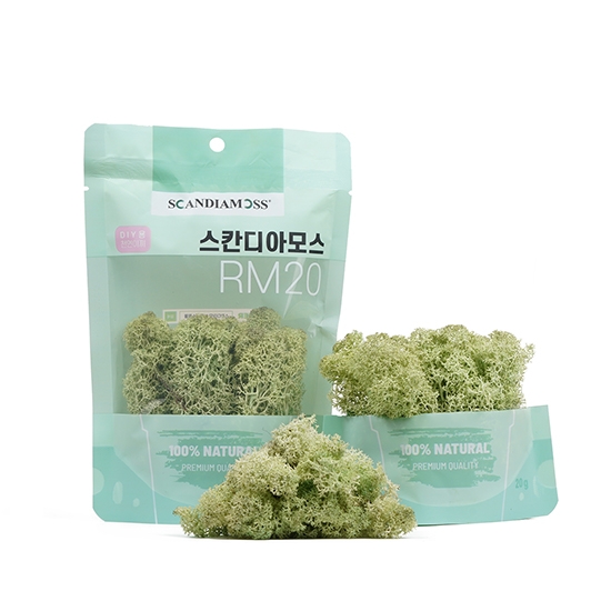 [스칸디아모스 DIY이끼 20g]RM20 컬러-66_민트북유럽 천연이끼 공기정화식물 학교 방과후수업 활동 체험학습 스칸디아모스 액자 화분 만들기