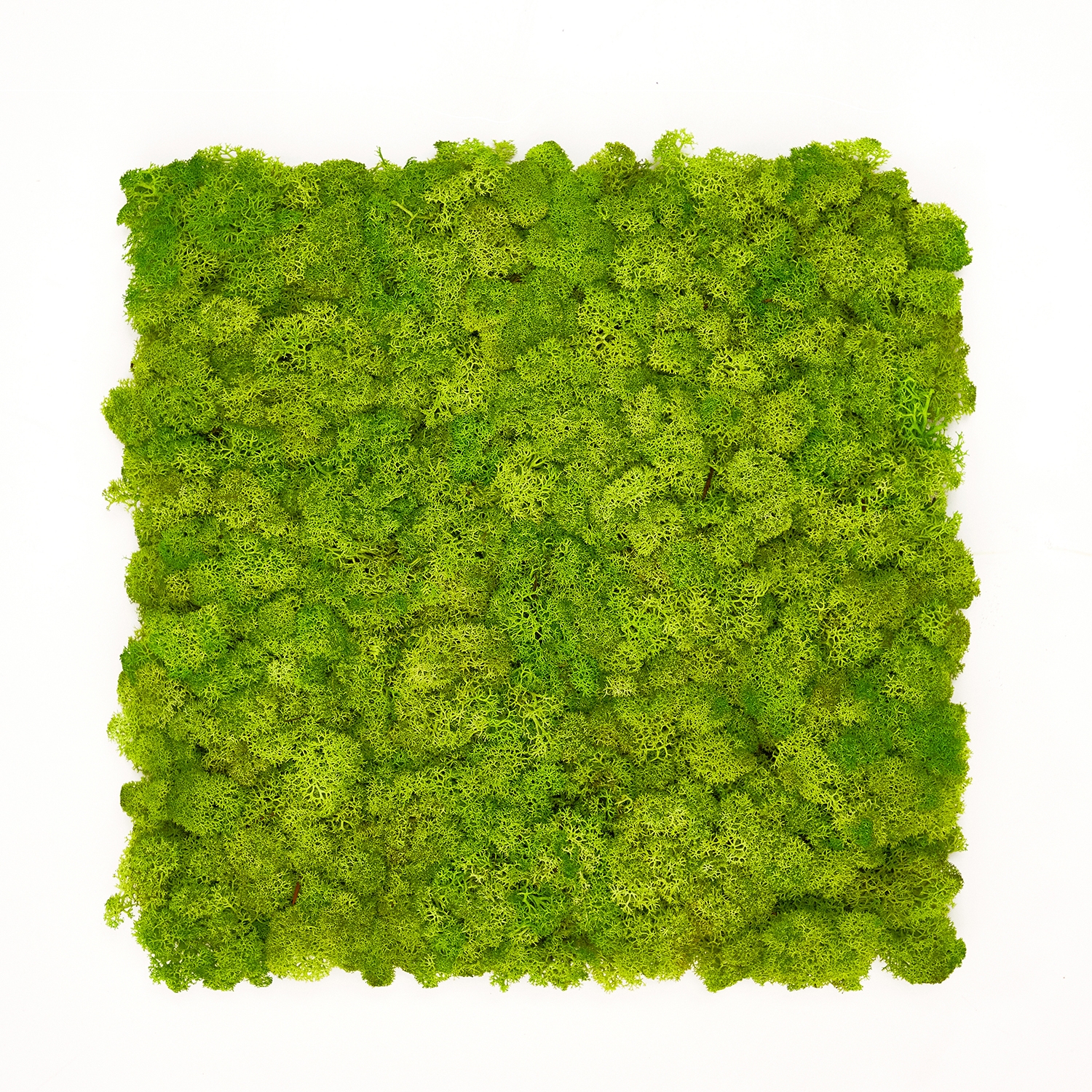 [Artificial Moss Wall Panels]SCANDIAMOSS-Tile, Artificial MossAL-300*300(Color-Spring Green)Moss Tile, Moss Wall Art, Moss Décor, Metal Wall Art, Acoustic Panels, Artificial/Functionality Acoustic Design Art Wall, Green Wall