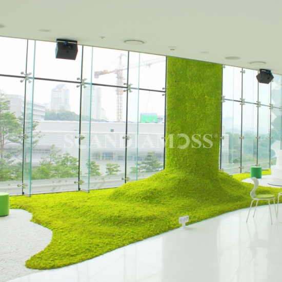 [Moss Wall Panels]SCANDIAMOSS-Tile, Functionality Wall PanelAL-300*300(Color-Moss Green)Decorative Wall Panel, Organic Decorating, Living Wall Plants Indoor, Sound Absorption, Living Wall Decor, Preserved Moss