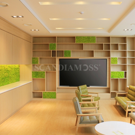 [Moss Wall Panels]SCANDIAMOSS-Tile, Functionality Wall PanelAL-300*300(Color-Moss Green)Decorative Wall Panel, Organic Decorating, Living Wall Plants Indoor, Sound Absorption, Living Wall Decor, Preserved Moss