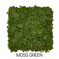 [Moss Wall Panels]SCANDIAMOSS-Tile, Functionality Wall PanelAL-300*300(Color-Moss Green)Decorative Wall Panel, Organic Decorating, Living Wall Plants Indoor, Sound Absorption, Living Wall Decor, Preserved Moss