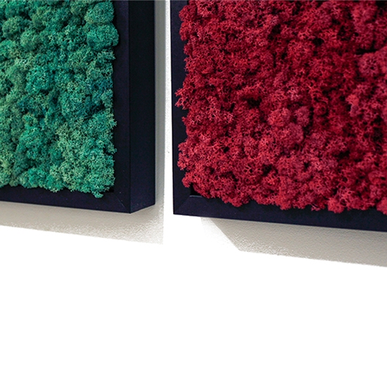 [Moss Function Frame]<P>SCANDIAMOSS-FRAMO, Frame Color/BLACK<P>Natural Reindeer Moss<P>Function Living Room Frame