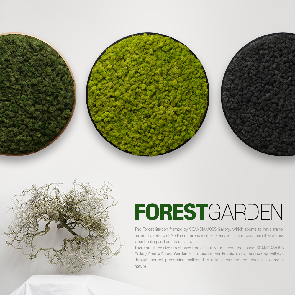 [Scandiamoss Gallery Frame]Forest Garden-MCircular Frame