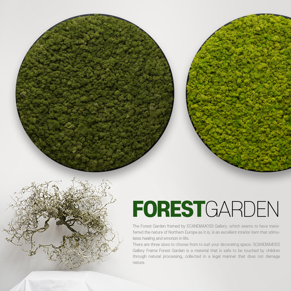 [Scandiamoss Circular Frame]Forest Garden-LCircular Frame