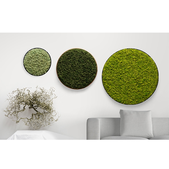 [Scandiamoss Circular Frame]Forest Garden-LCircular Frame