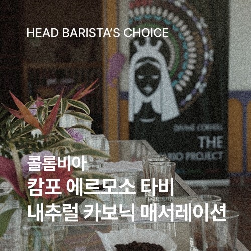 콜롬비아 캄포 에르모소 타비 200g☕HEAD BARISTA PICK