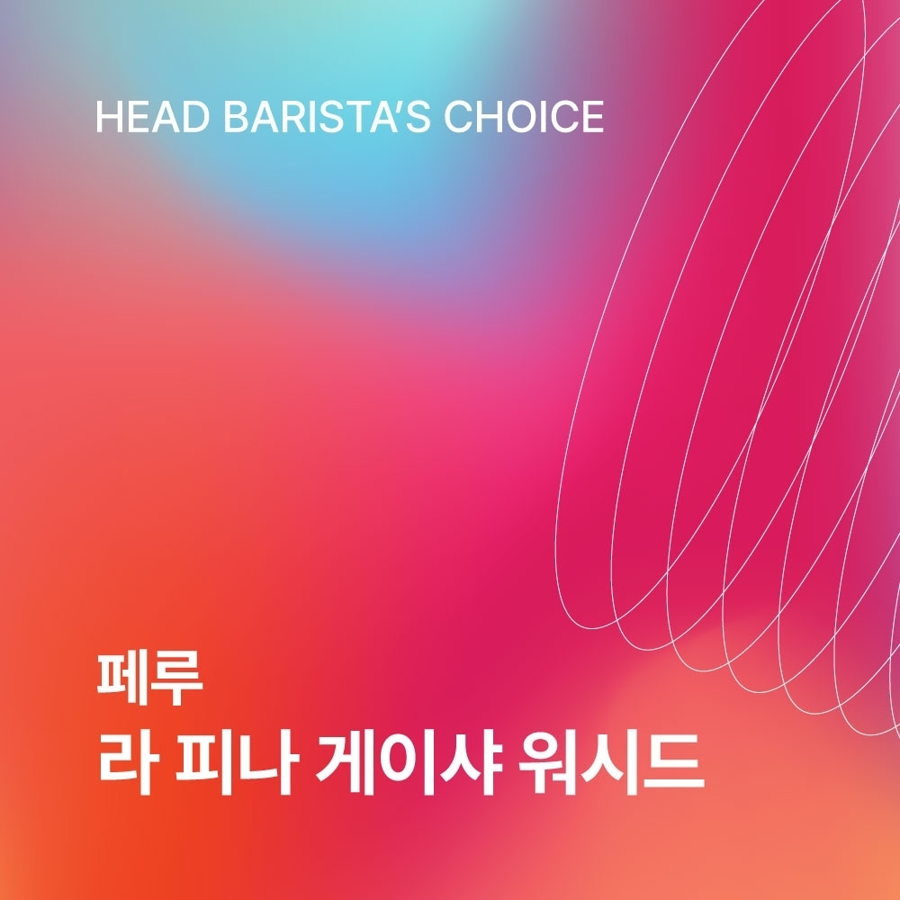 페루 라 피나 게이샤 200g☕BARISTA PICK