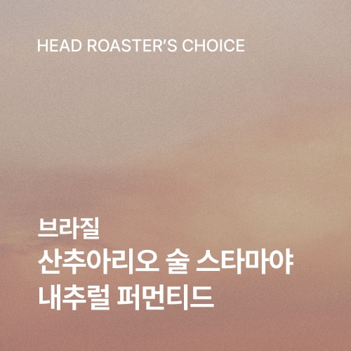 브라질 산추아리오 술 스타마야 200g☕ROASTER PICK