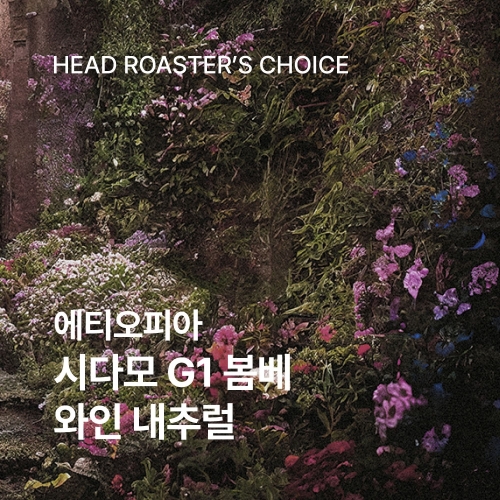 에티오피아 시다모 G1 봄베 200g☕ROASTER PICK
