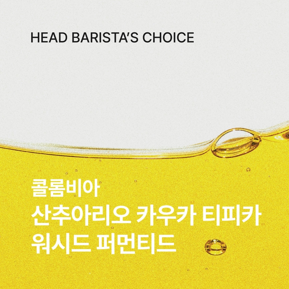 콜롬비아 산추아리오 카우카 티피카 워시드 퍼먼티드 200g☕HEAD BARISTA PICK