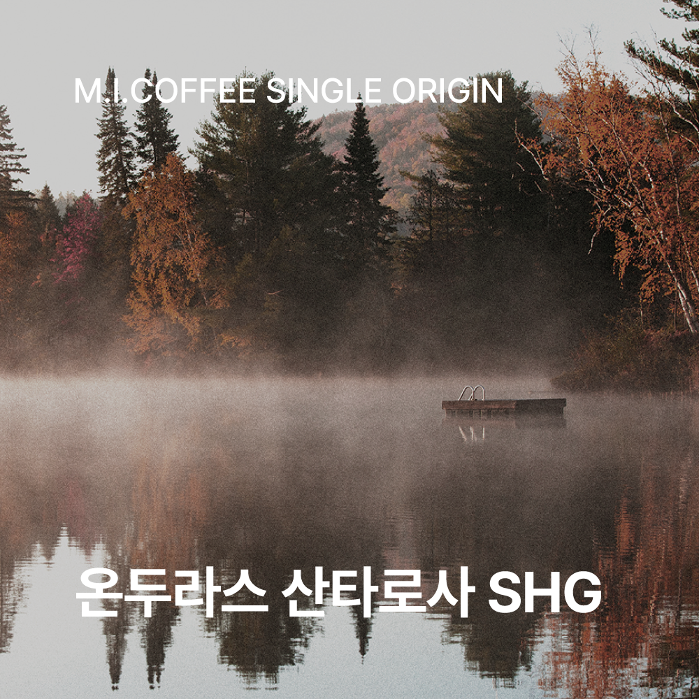온두라스 산타로사 SHG 200g