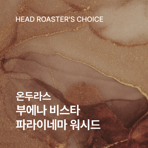 온두라스 부에나 비스타 파라이네마 워시드 200g☕ROASTER PICK