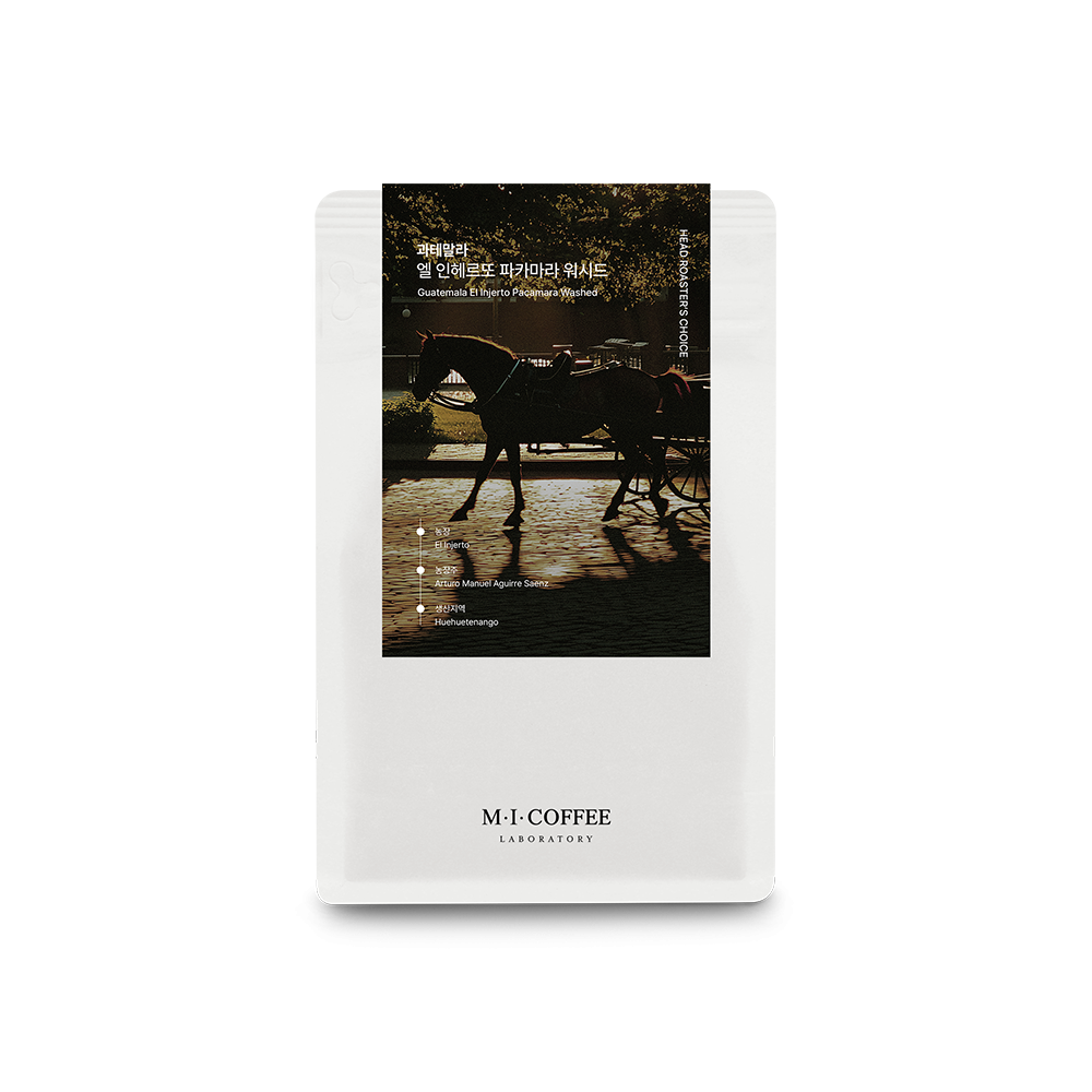 과테말라 엘 인헤르또 파카마라 워시드 100g/200g