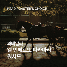 과테말라 엘 인헤르또 파카마라 워시드 200g☕ROASTER PICK