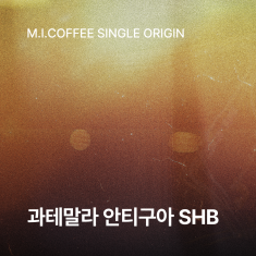 과테말라 안티구아 SHB 200g