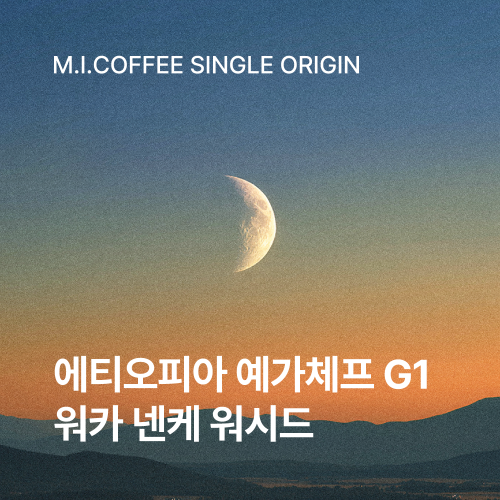 에티오피아 예가체프 G1 워카 넨케 워시드 200g